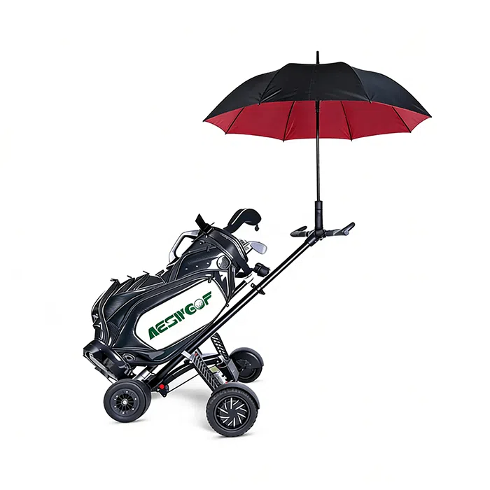 Carrito de Golf Eléctrico Premium